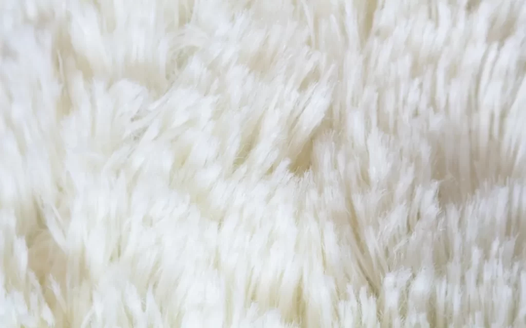 راهنمای کامل تمیز کردن فرش های سفید