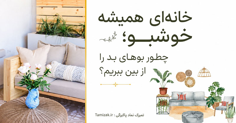 خانهای همیشه خوشبو؛ چطور بوهای بد را از بین ببریم؟